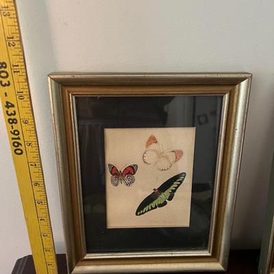 butterfly lot