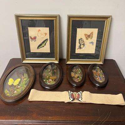 butterfly lot