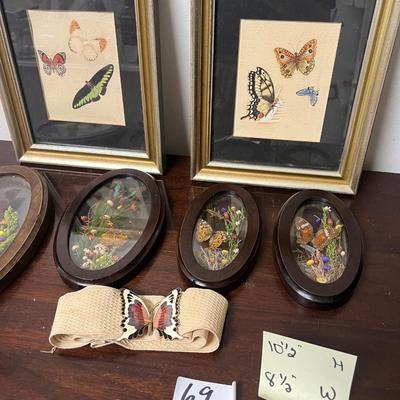 butterfly lot