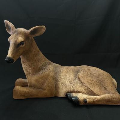 A Collection of Sweet Animals