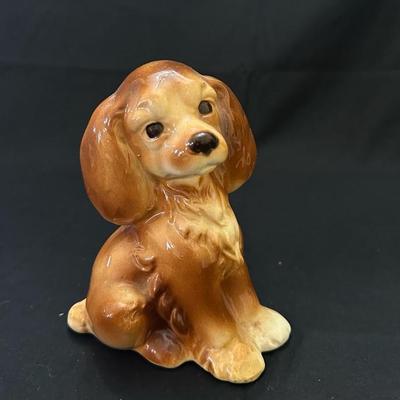 A Collection of Sweet Animals