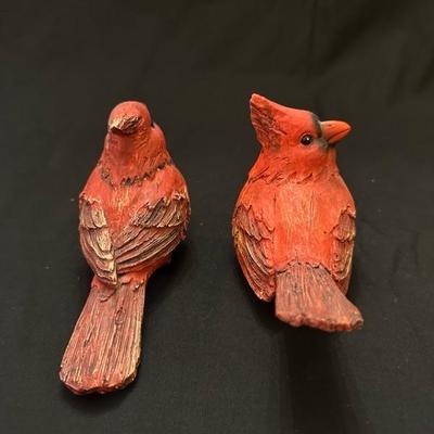 A Collection of Sweet Animals