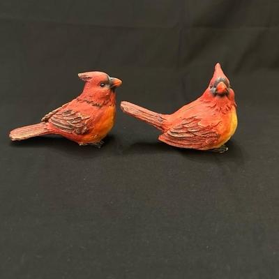 A Collection of Sweet Animals