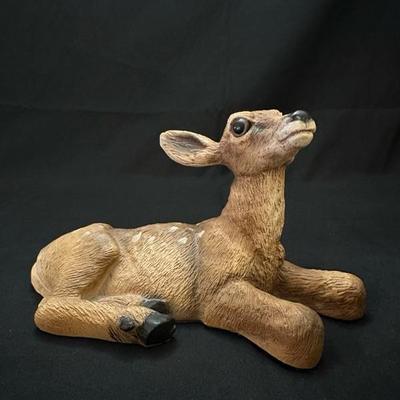 A Collection of Sweet Animals