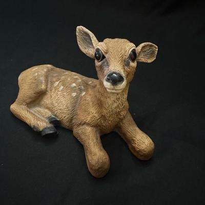A Collection of Sweet Animals