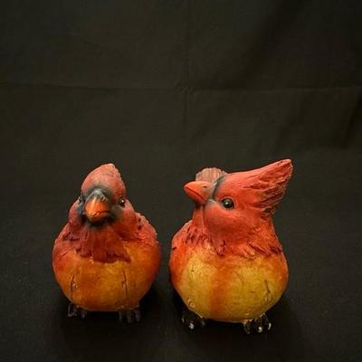 A Collection of Sweet Animals