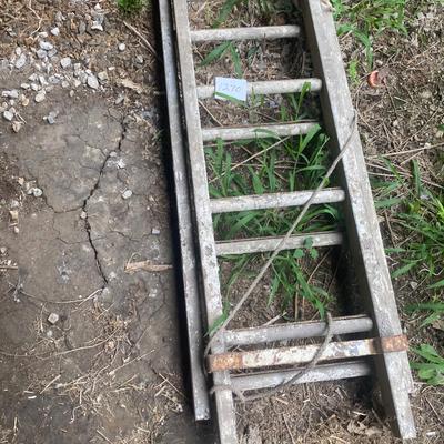 Vintage Heavy Extension Ladder