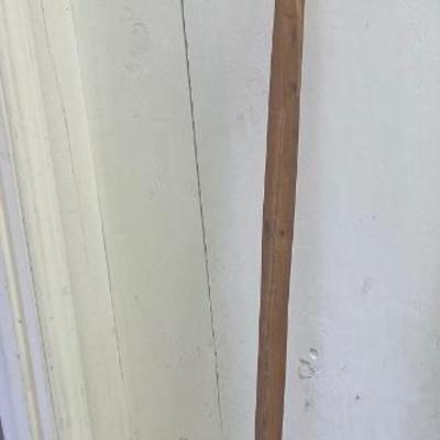 Walking Stick