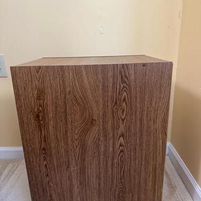 Filing Cabinet #2