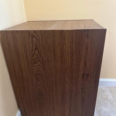 Filing Cabinet #2