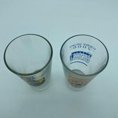 India Pale Ale glass asst.