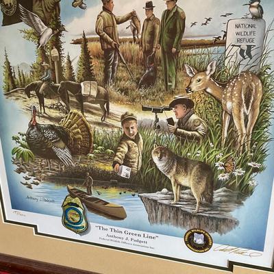 Framed poster, the thin green line, signed and numbered