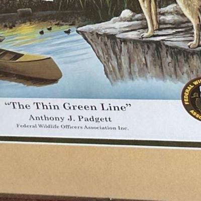 Framed poster, the thin green line, signed and numbered