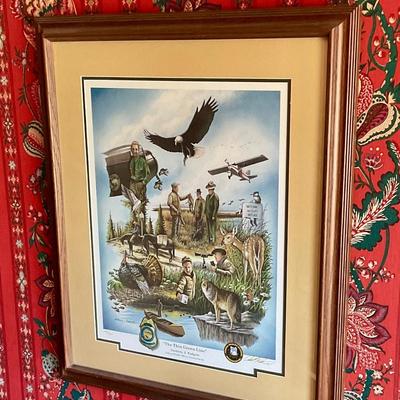 Framed poster, the thin green line, signed and numbered