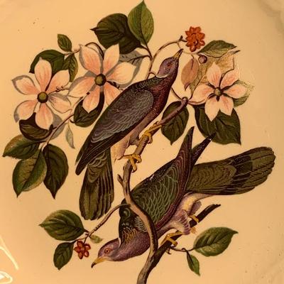 Set of Four Alfred Meakin Birds of America Plates