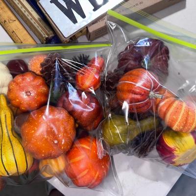 Lot of fall & Halloween