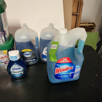 Household cleaning supplies Windex Dawn and More