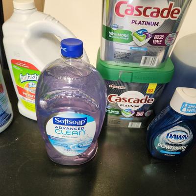 Household cleaning supplies Windex Dawn and More