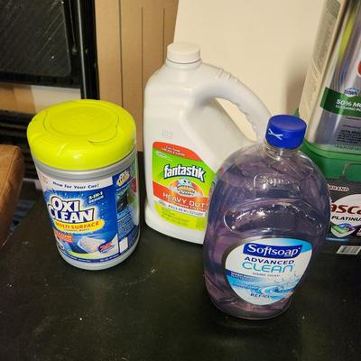 Household cleaning supplies Windex Dawn and More