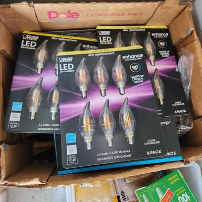 Large Lot of Household Light Bulbs Many types and sizes