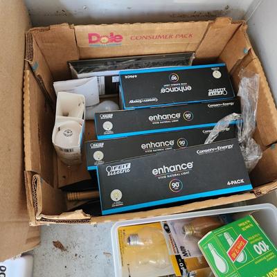 Large Lot of Household Light Bulbs Many types and sizes