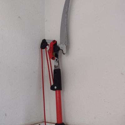 Extendable Branch Saw