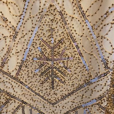 Sequin & Fringe Flapper Style Dress