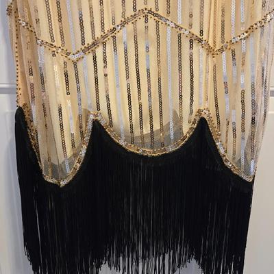 Sequin & Fringe Flapper Style Dress