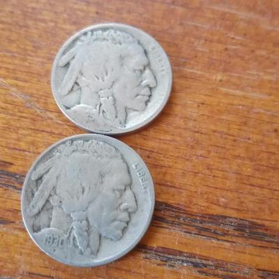 LOT 52 TWO EARLY DATED BUFFALO NICKELS