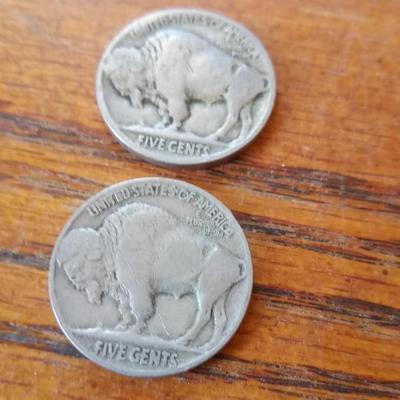 LOT 52 TWO EARLY DATED BUFFALO NICKELS