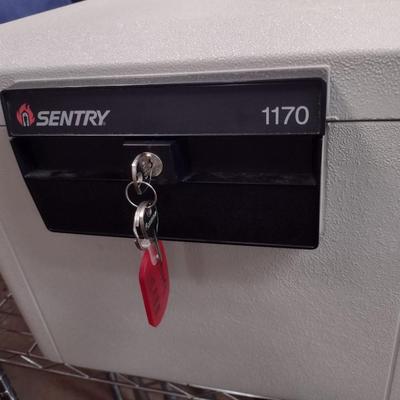 Sentry Model 1170 Lock Box Safe