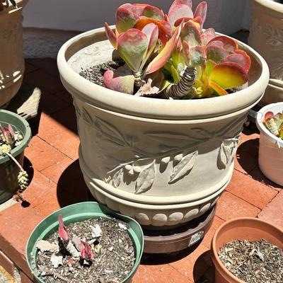 Set Of Nine Flower Pots