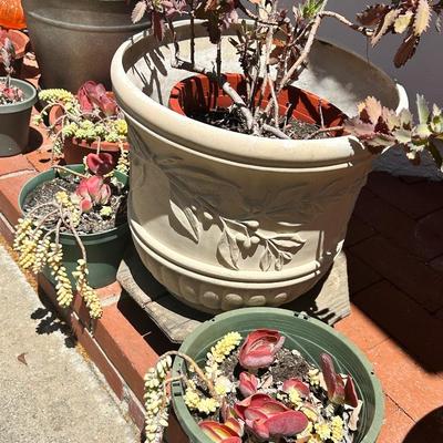 Set Of Nine Flower Pots