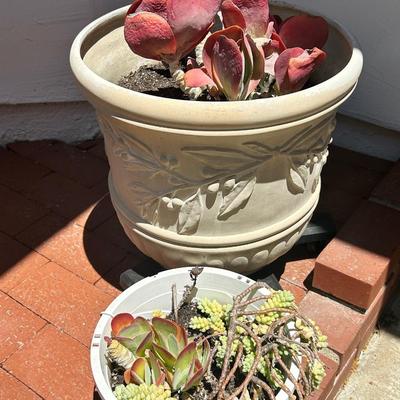 Set Of Nine Flower Pots