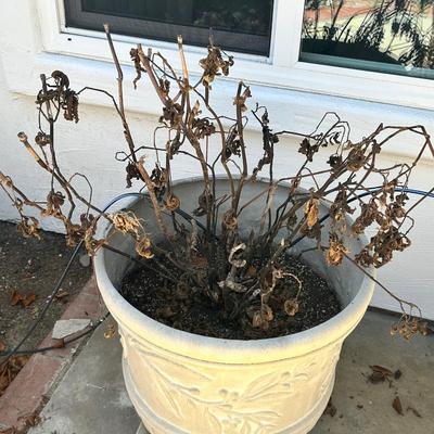 Set Of Nine Flower Pots