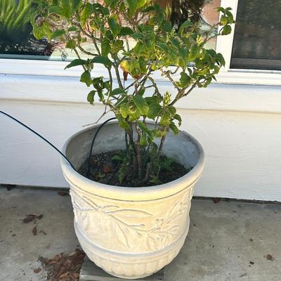 Set Of Nine Flower Pots