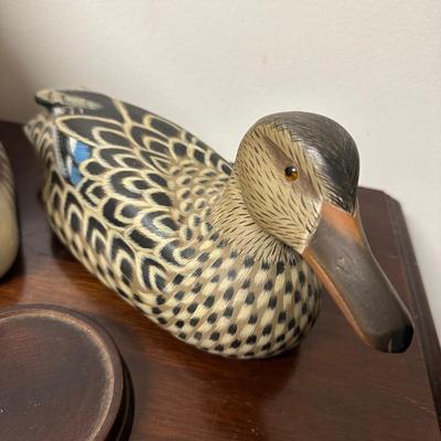 DUCK & OWL LOT