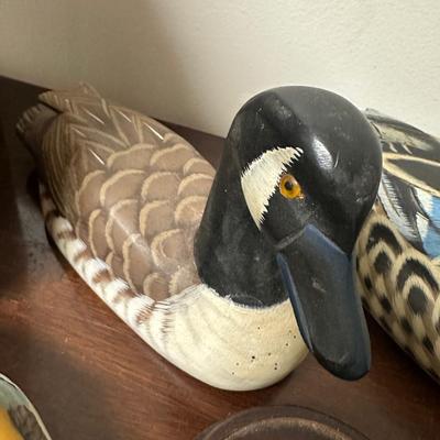 DUCK & OWL LOT