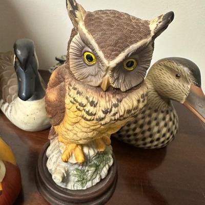 DUCK & OWL LOT