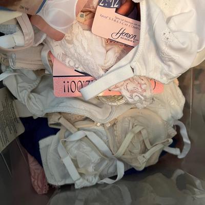 HUGE Lot NEW Women's Undergarments