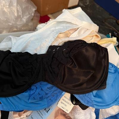 HUGE Lot NEW Women's Undergarments