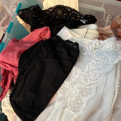 HUGE Lot NEW Women's Undergarments
