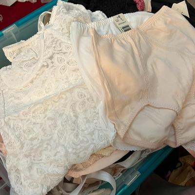 HUGE Lot NEW Women's Undergarments