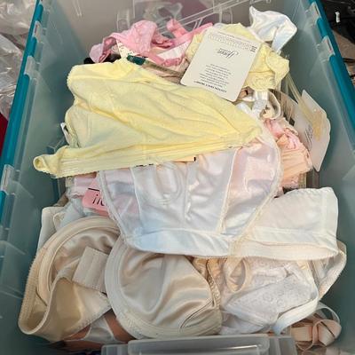 HUGE Lot NEW Women's Undergarments