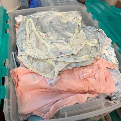 HUGE Lot NEW Women's Undergarments