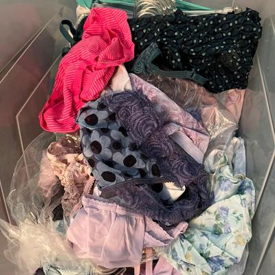 HUGE Lot NEW Women's Undergarments