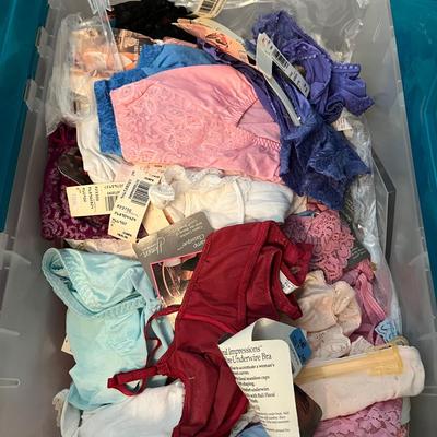 HUGE Lot NEW Women's Undergarments