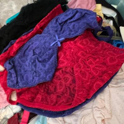 HUGE Lot NEW Women's Undergarments