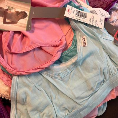 HUGE Lot NEW Women's Undergarments