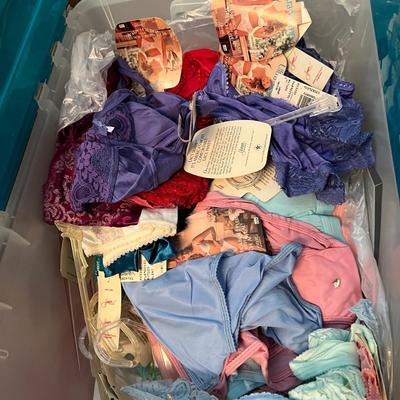 HUGE Lot NEW Women's Undergarments
